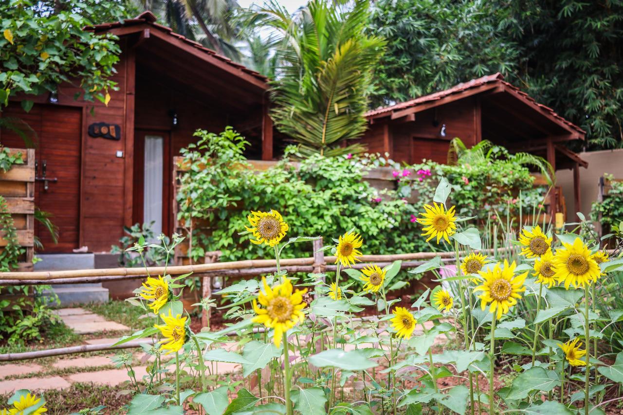 Mandrem Village Resort Exterior photo
